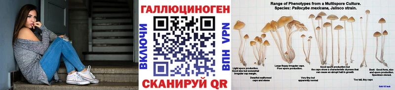 Галлюциногенные грибы Psilocybe  наркотики  Кириллов 